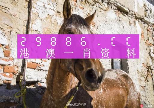 2025澳门精准正版免费四不像和澳门管家婆100%精准全面释义、专家解析解释与落实与警惕虚假宣传 解析与释义
